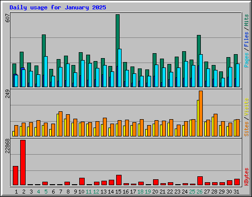 Daily usage for January 2025