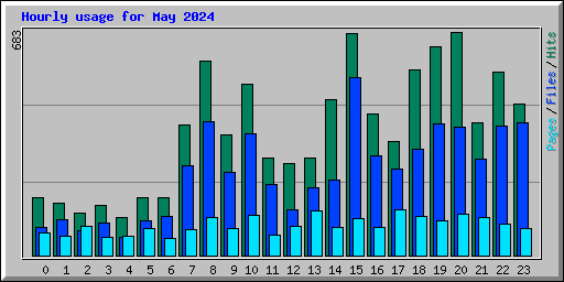 Hourly usage for May 2024