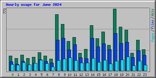 Hourly usage for June 2024