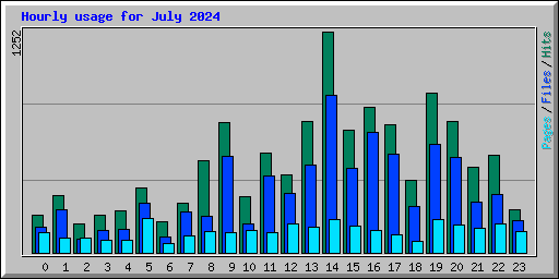 Hourly usage for July 2024