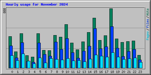 Hourly usage for November 2024