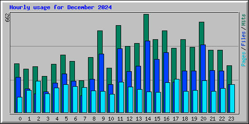 Hourly usage for December 2024