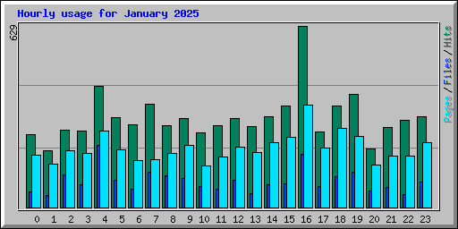 Hourly usage for January 2025